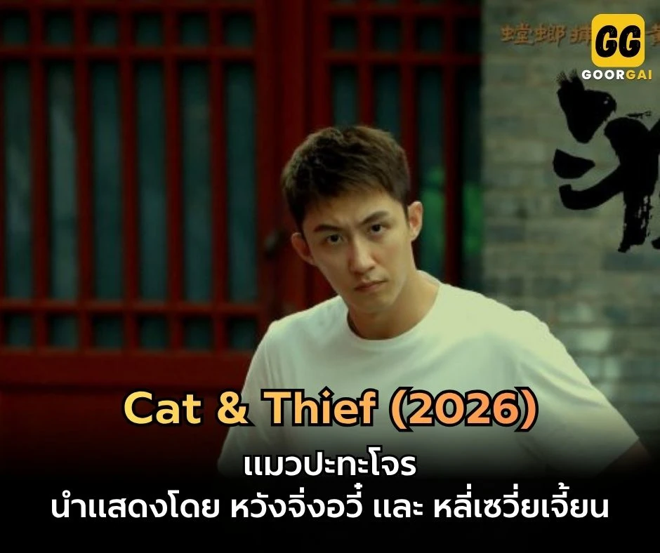 แมวปะทะโจร หวังจิ่งอวี๋