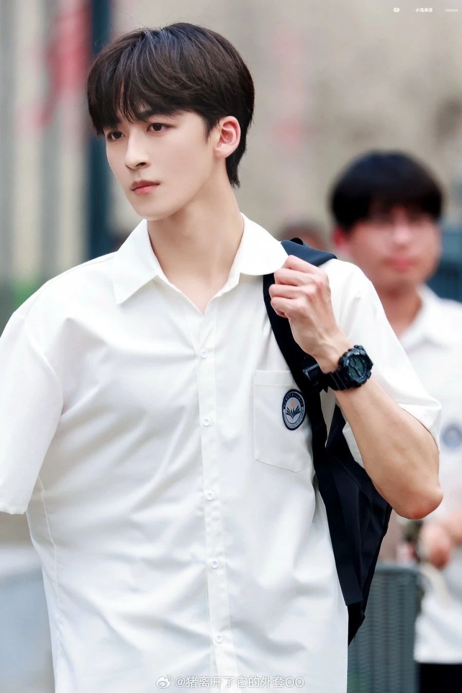 คุณนกกระจอกเทศของฉัน