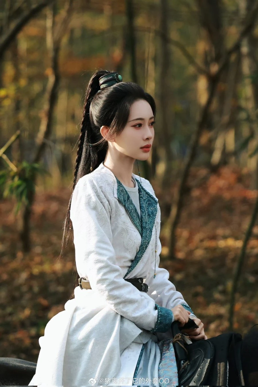เรื่องย่อ Tigers Sniff the Rose (2026)