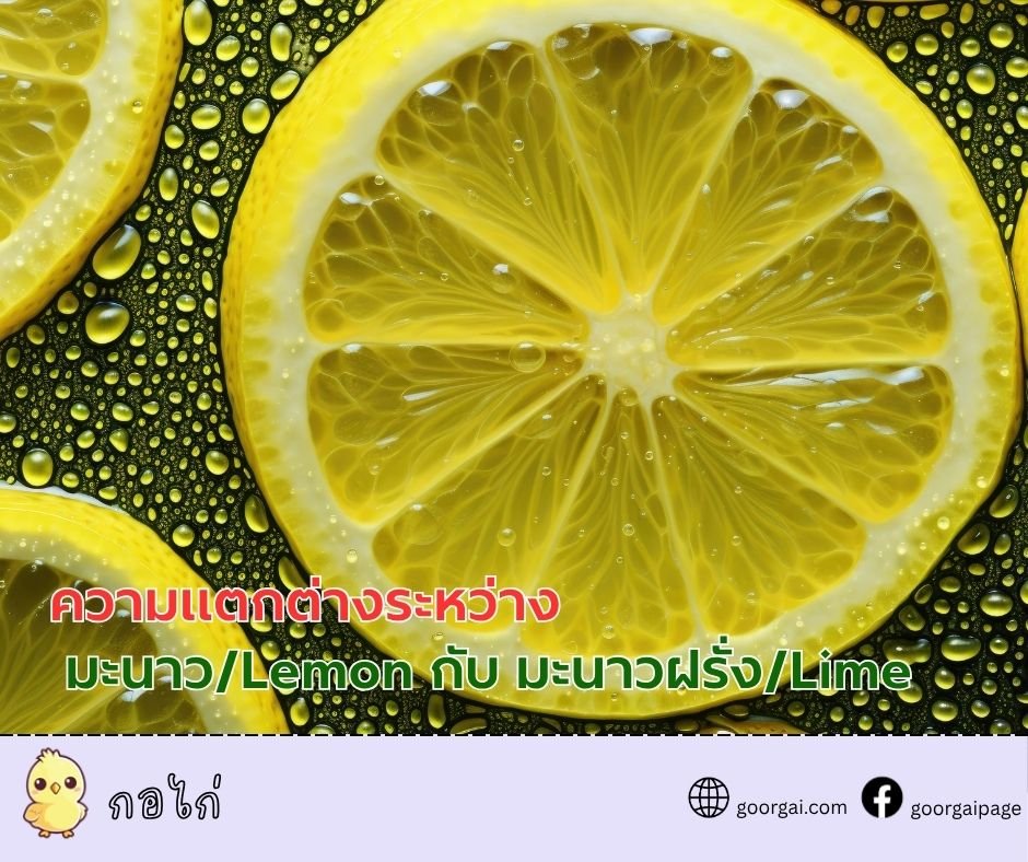 ความแตกต่างของมะนาว (Lemon และ Lime)