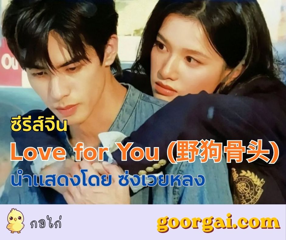 เรื่องย่อซีรีส์จีน Love for You (野狗骨头) นำแสดงโดย ซ่งเวยหลง